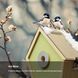 Уцінка Розумний пташиний будиночок RELI Birddy з камерою, сонячним живленням, Німеччина 100152-2 фото 3